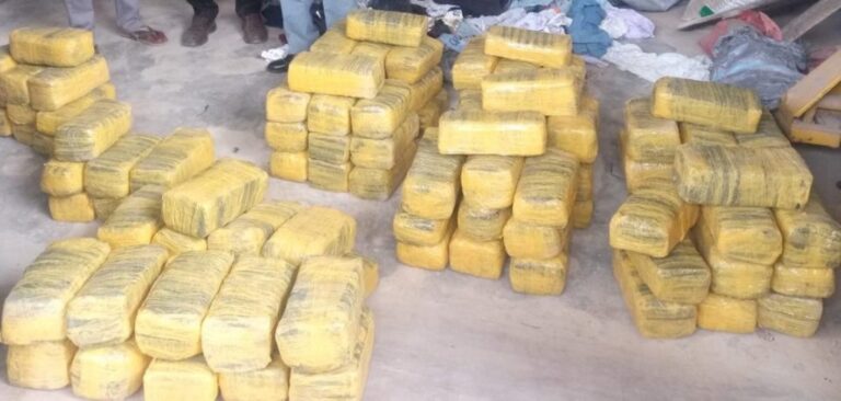 Customs Service hands over N30m worth of marijuana to NDLEA in Bauchi