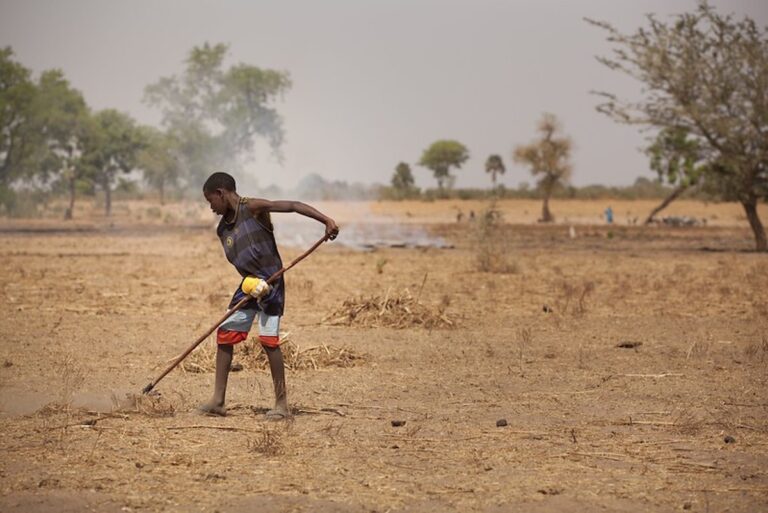 More than 50% of Nigeria’s security challenges are climate change problems – Abdulrazaq Hamzat