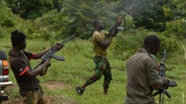 Banditry: Southern Kaduna On The Verge Of Total Collapse – By Mary Bawa