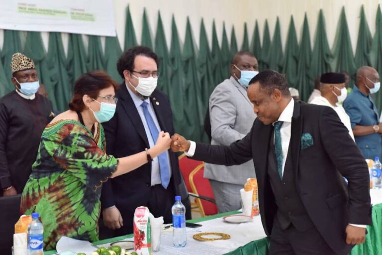 Nigeria Needs A Stable And Prosperous Niger Delta Region, Says NDDC Chief Executive