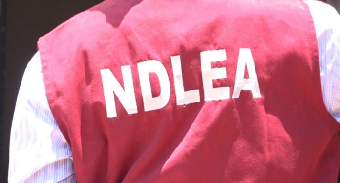 149 Suspects Arrested By NDLEA