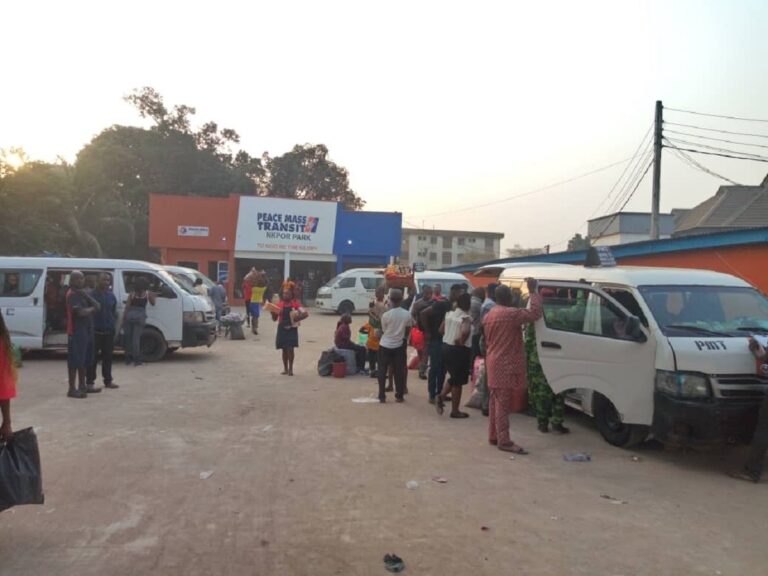 Woman in search of male child delivers inside Peace Park, names him Peace