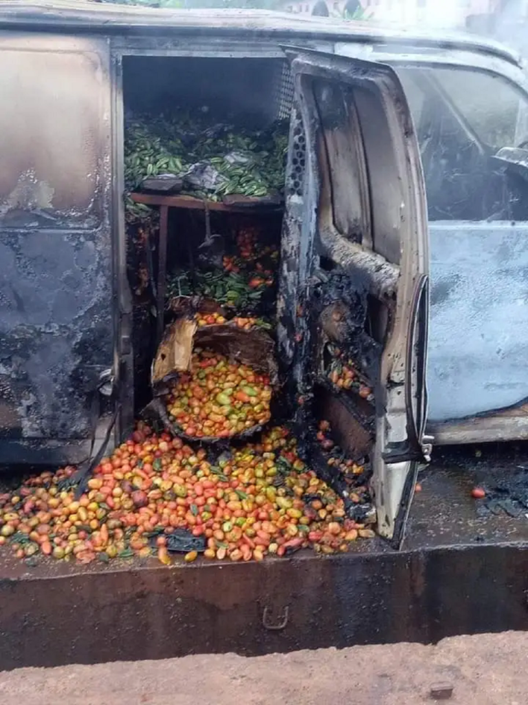 Sit-at-home: Vehicle conveying tomatoes, set ablaze in Enugu