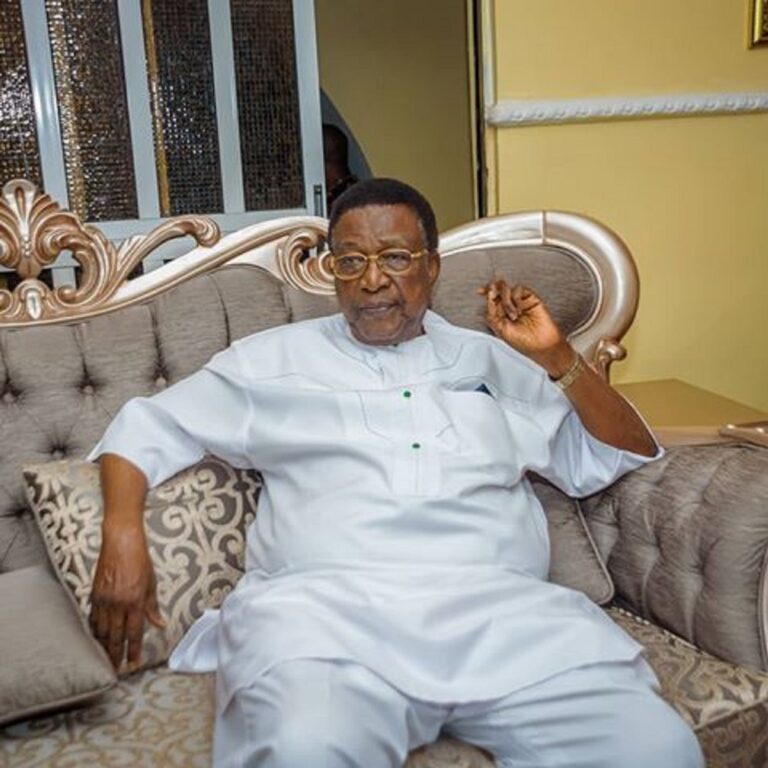Land tussle : Kinsmen ask Jim Nwobodo to swear and take full possession