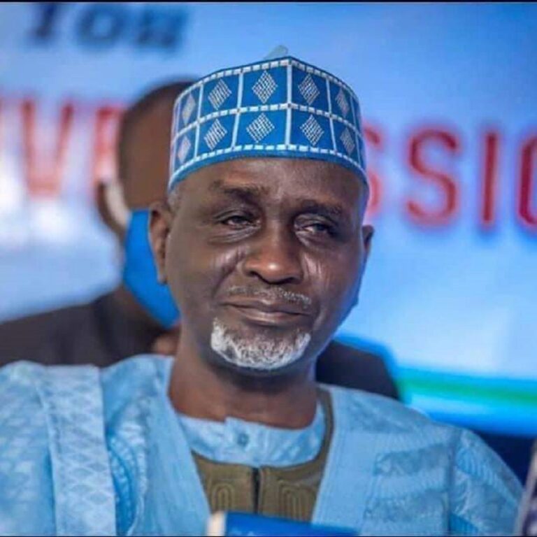 INEC Declared Sen Shekarau As Winner, Beware Of Fake News – Chair, APC Kano State Chapter