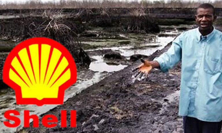 Ogoni Hit by Fresh Oil Spill, MOSOP Blame Shell
