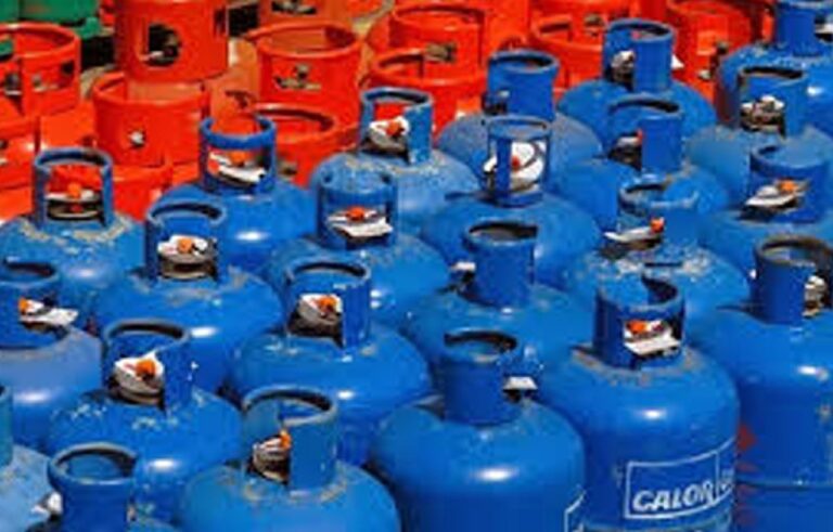 High cost of cooking gas leading to deforestation — Group warns