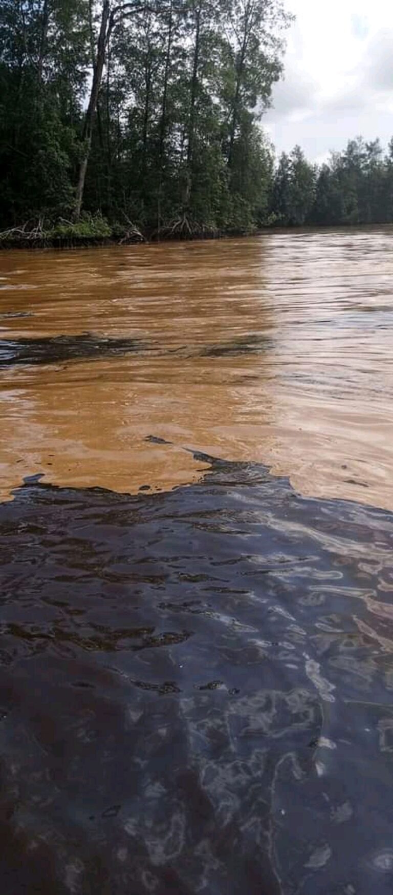 Nembe spill worse than Gulf of Mexico leak — Diri