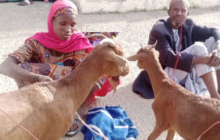NSCDC arrests 35yr-Old Woman, 50yr-Old Man For Stealing Goats In Bauchi