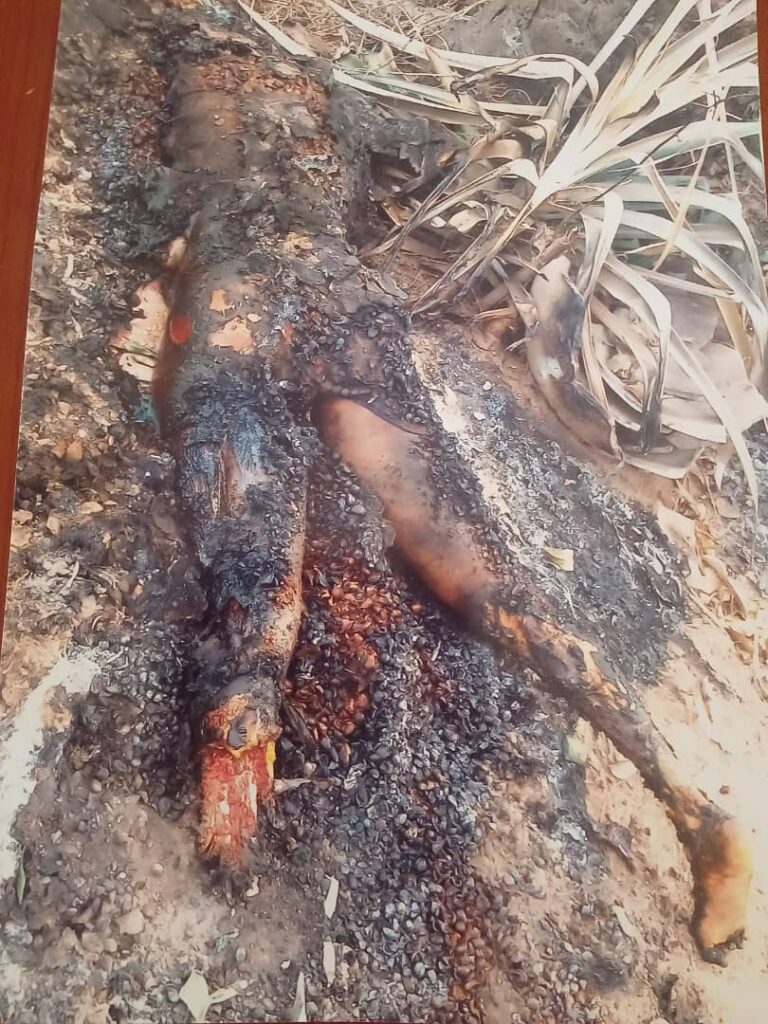 NHRC Demands Justice for 35yr old set ablaze over family rights