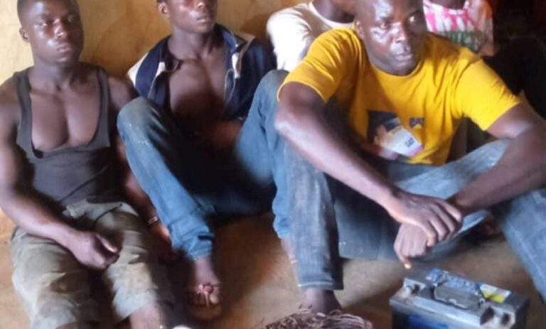 Gun, Others Recovered, As Police Arrest 13 Suspected Touts, Thieves in Anambra