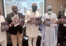 How governors spend security vote – Fayemi