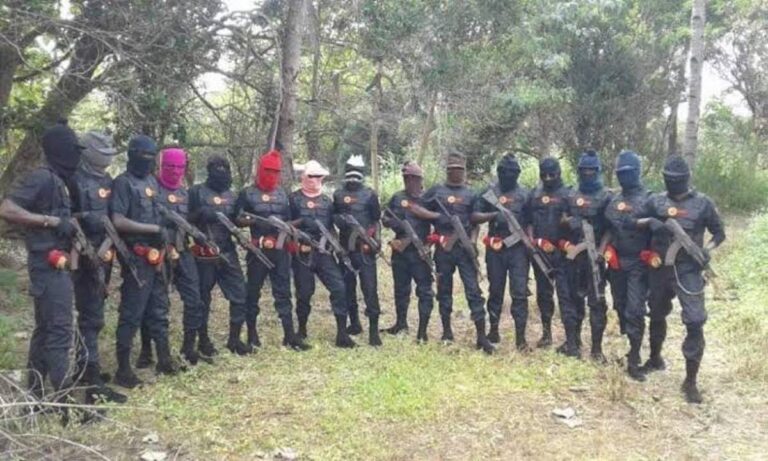Gunmen Invade Anambra, Go House to House to Snatch Guns from Vigilante