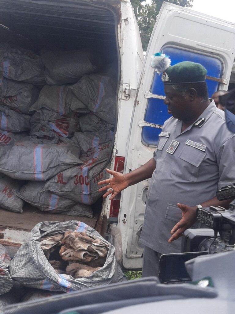 Customs FOU Zone D, Bauchi intercepts dried Donkey skin, other contraband worth N126m