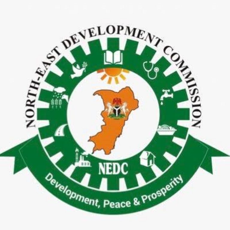 Gombe Communities Commend NEDC for its giant stride in education, essential social Services In North East