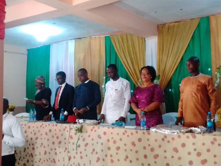 Every Part of Nigeria Is Marginalized Today — Okeke-Ogene
