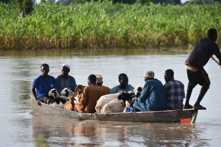 Flood kills three people, destroy 1400 houses in Bauchi