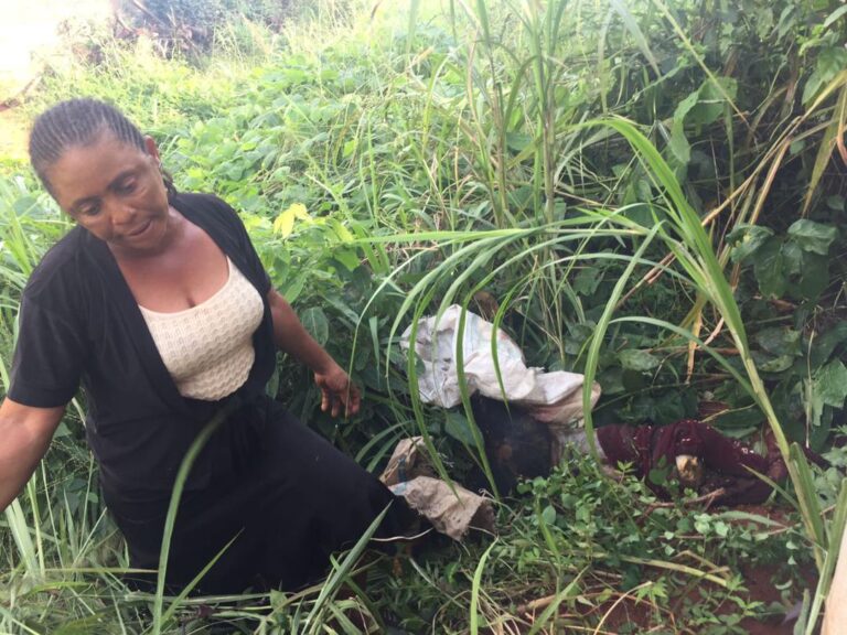 Corpse Already Decaying —Police on Woman Flogged Child to Death in Anambra