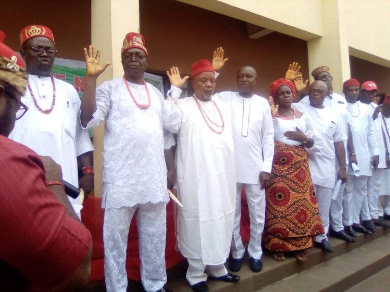Ohanaeze Ndigbo calls for Unity, Promotion of Igbo language, cultural values