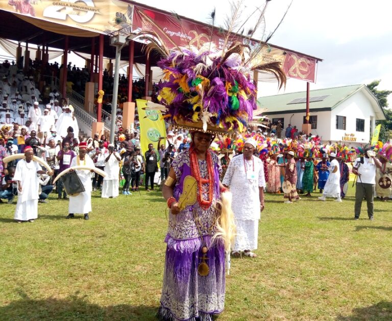 My ascension to Onitsha traditional stool, journey of leadership change, says Achebe