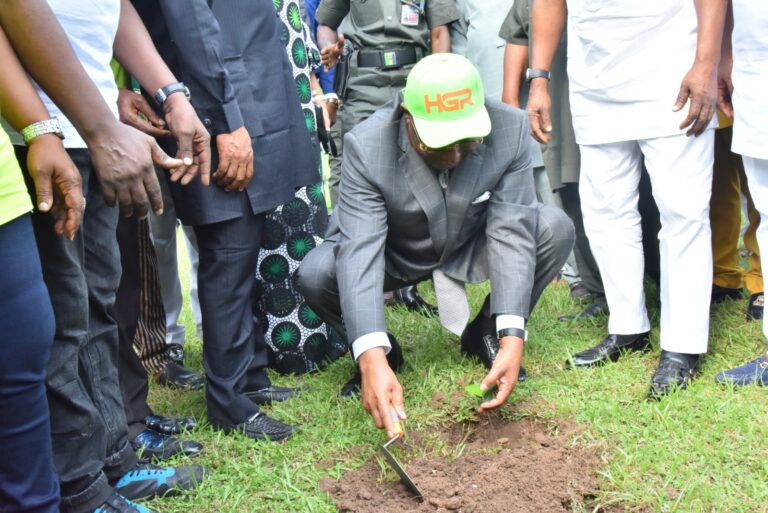 Uzodimma directs Sole Administrators to plant 10,000 trees in six months