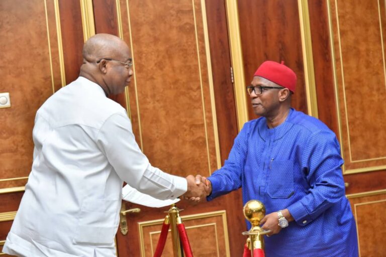 Uzodimma charges Elders Council To Intervene on matters affecting Imo