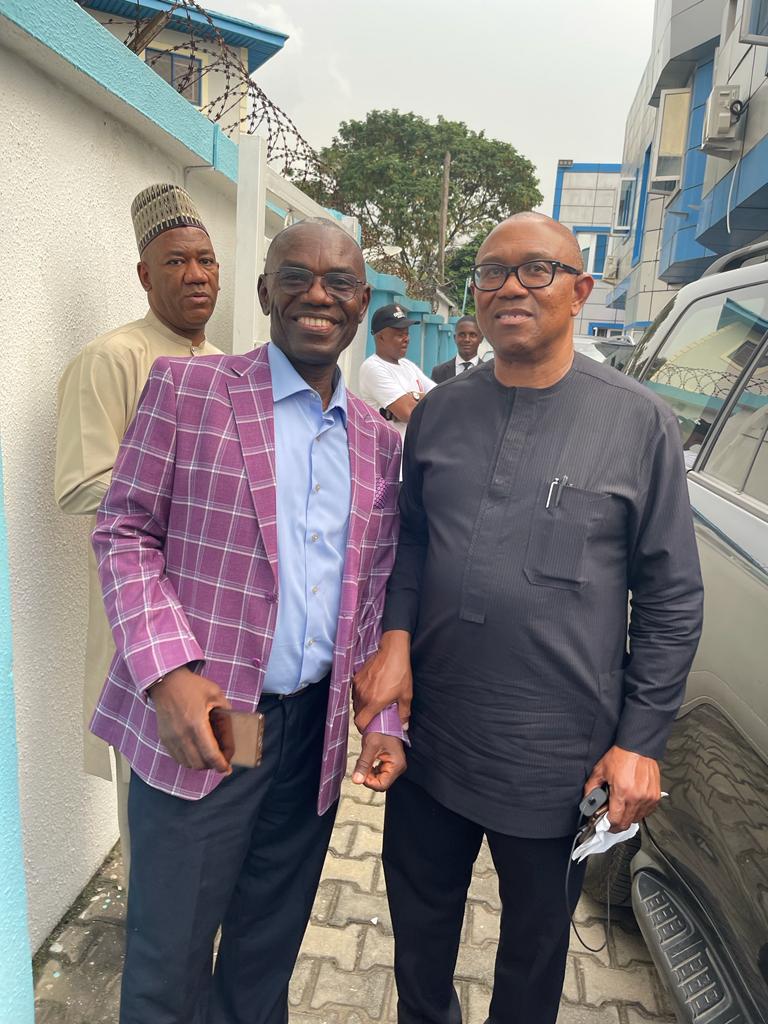 2023: Nwafor predicts Obi’s chances in South-east