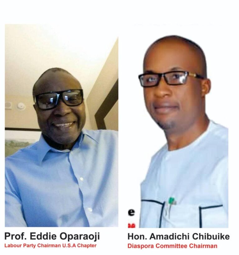 Hon Amadichi, Professor Oparaoji-Led Labour Party Diaspora Planning Committee  Convenes Good-Governance Orientation For Labour Party Elected Officials  