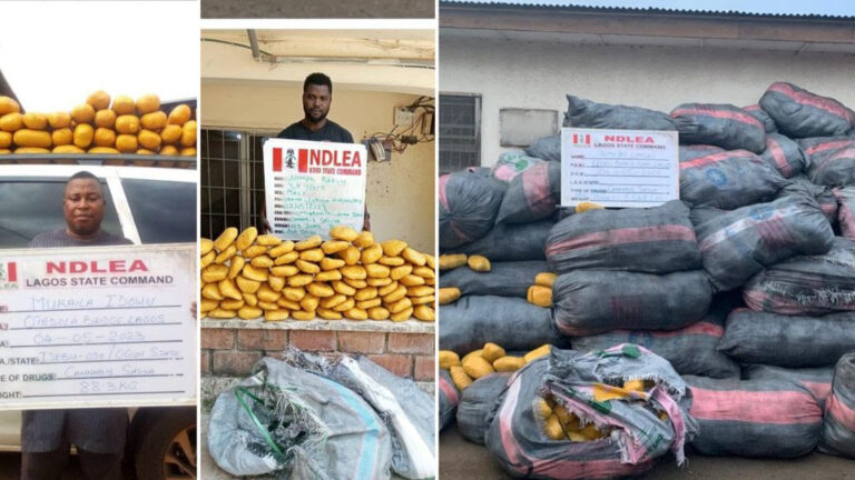 NDLEA seized 8,852kg illicit drugs consignment in Lagos after gun battle