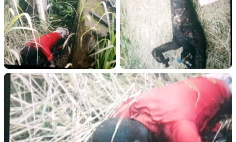 How Imo Man Was Electrocuted While Vandalizing Transformer Cables