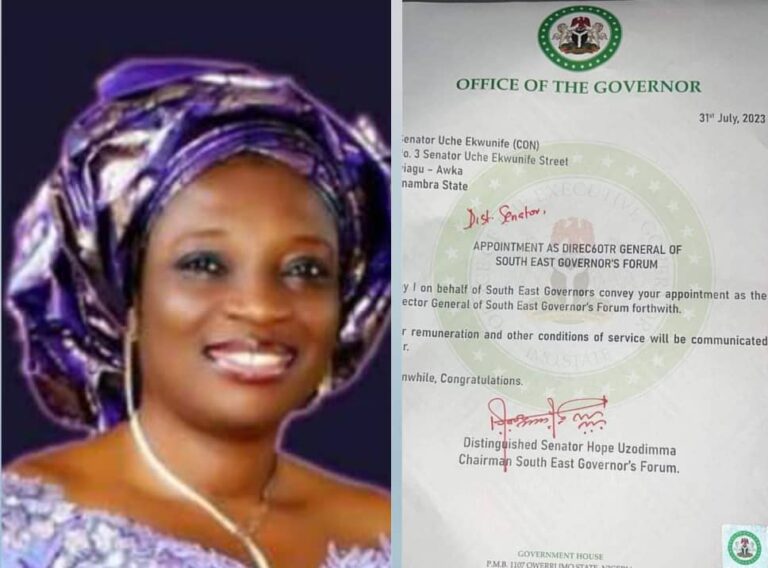 Ekwunife Offered New Appointment By Governors