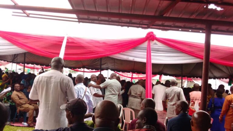 Anyanwu’s Candidacy Represents Imo Interest, Ajaelu, As Okorocha, Ararume, Ihenacho Loyalists Make PDP Campaign List