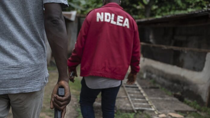 NDLEA seizes N56.9m worth of illicit drugs in FCT, arrests 343 suspects
