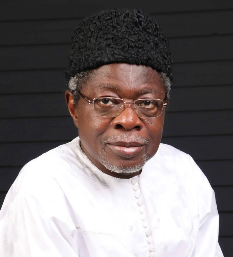 Why we should stop going to court after elections (2) - By Hassan Gimba