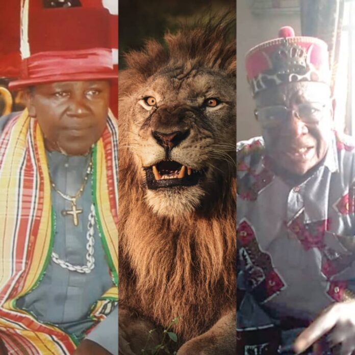 Imo Monarchs On The Run After Controversial Endorsement Of Govenor Uzodinma's Second Term Bid - Lions Appears For Revenge