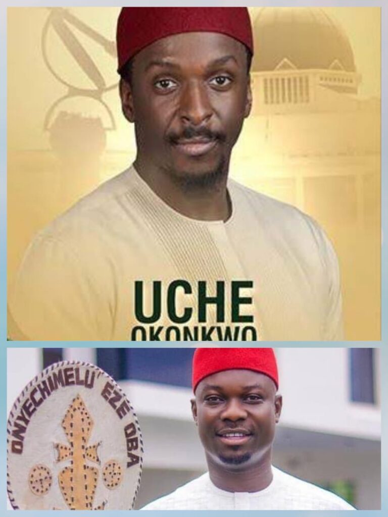 2023: Why Annie Okonkwo’s Son Defeated Obi Cubana’s Brother at the Tribunal