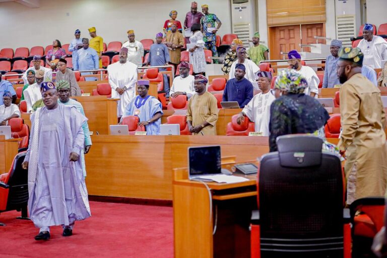 Adebola Akin-Bright: Lagos Assembly Reveals More About Doctor Who Performed Surgery
