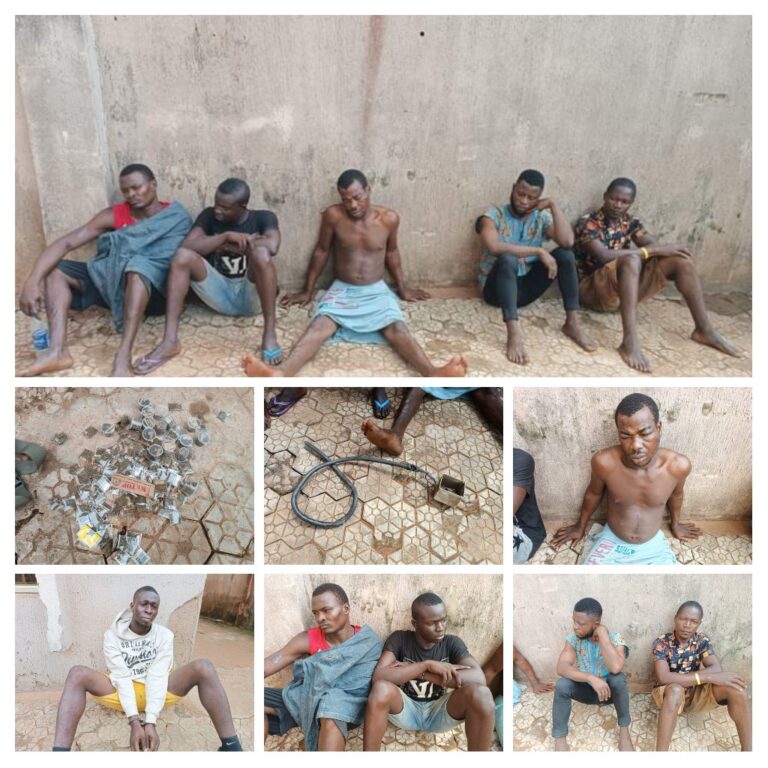 Unemployment Forced Me into Crime — Phone Snatcher, Drug Trafficker Confesses in Anambra