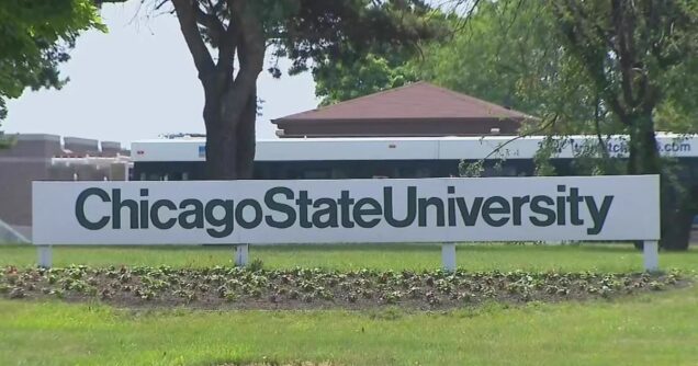 Read The Chicago State University Sworn Deposition On Tinubu's Alleged Certificate Forgery