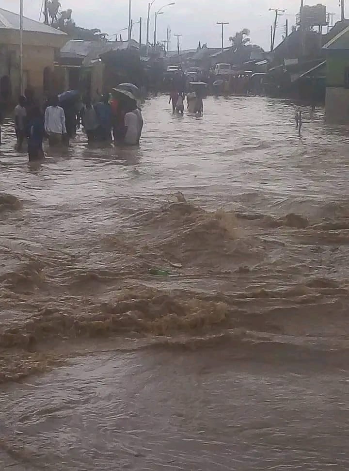 Youths flee to cities as flood wreaks havoc in Bauchi communities - Daily  Trust