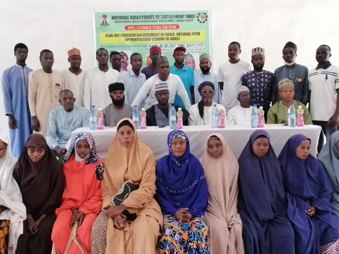 NDE engages 50 Bauchi youth on VSD training