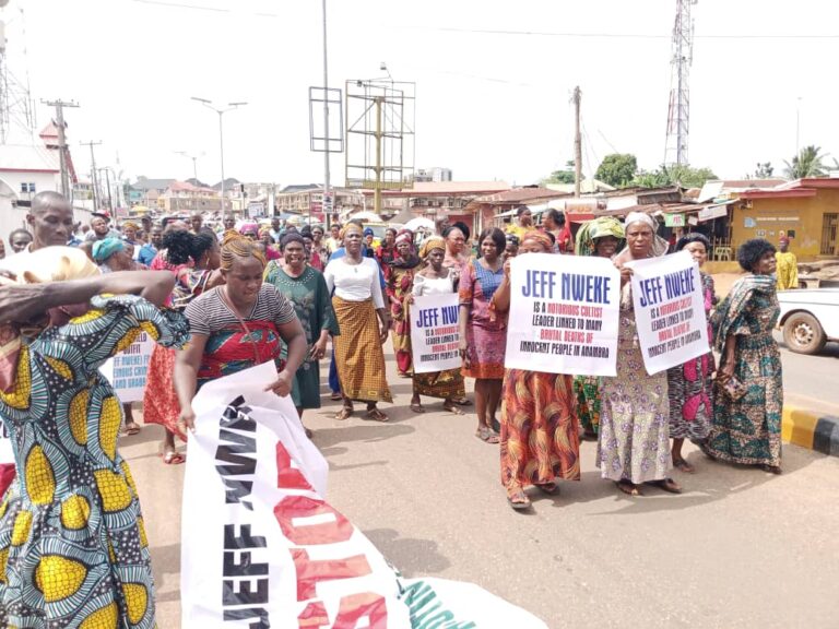 Another Anambra Community Protests, Accuses Blue Shield Security Boss of Land Grabbing, Intimidation, Renting S3x Workers for Protest
