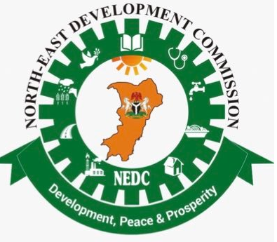 NEDC: Anti-Corruption Group Tackles CSOs over currupt allegations against MD