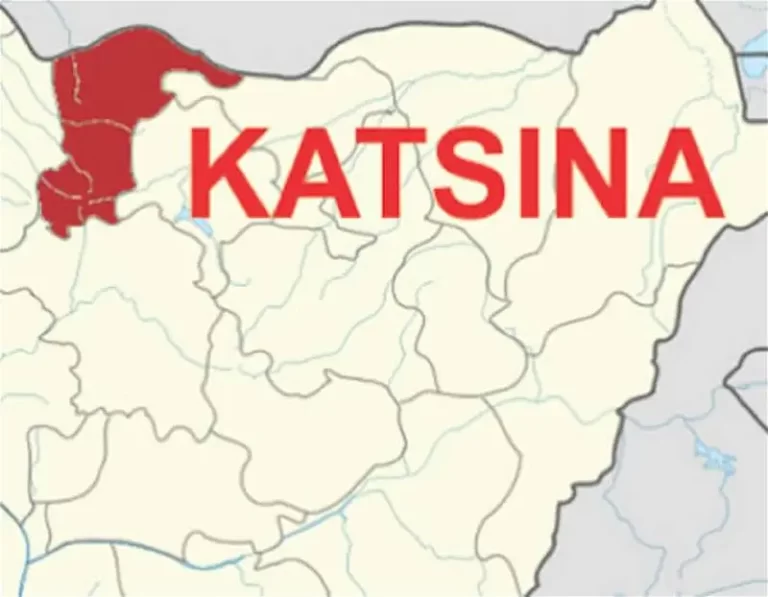 Police, army foil kidnap attempts, rescue 6 victims in Katsina