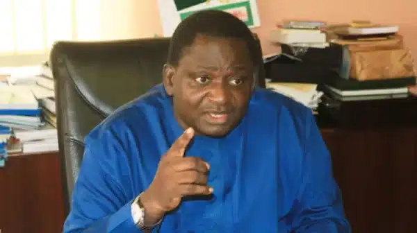 Femi Adesina: I Cried When Buhari Asked Me To Work For Him