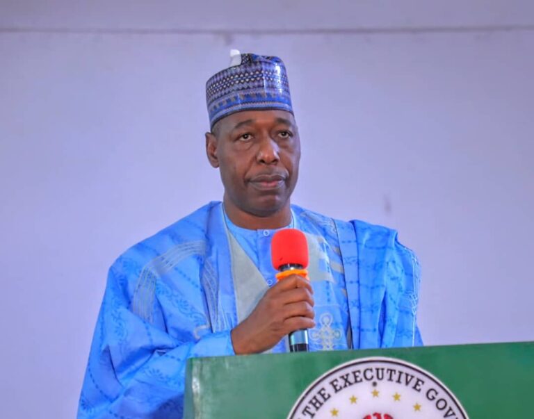 Shun protest, Govt Working to Ease Hardships, Gov Zulum Urges Citizens
