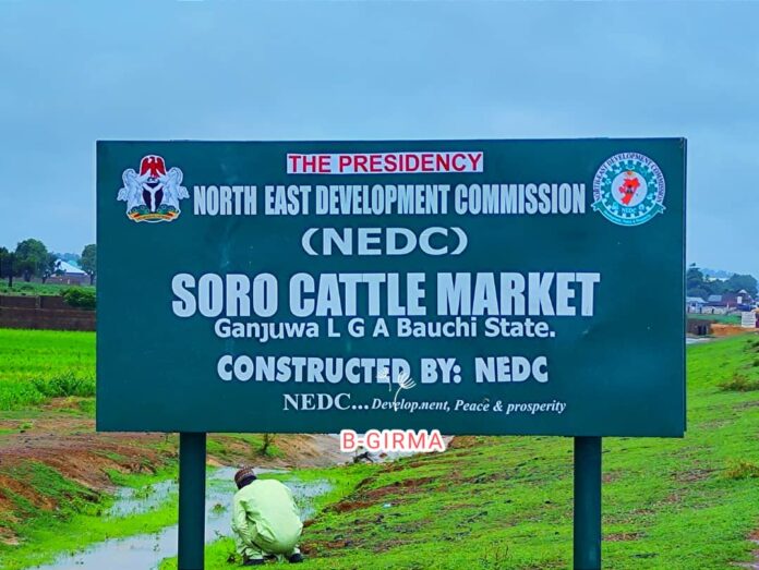 NEDC hands over new Cattle Market to Bauchi Govt