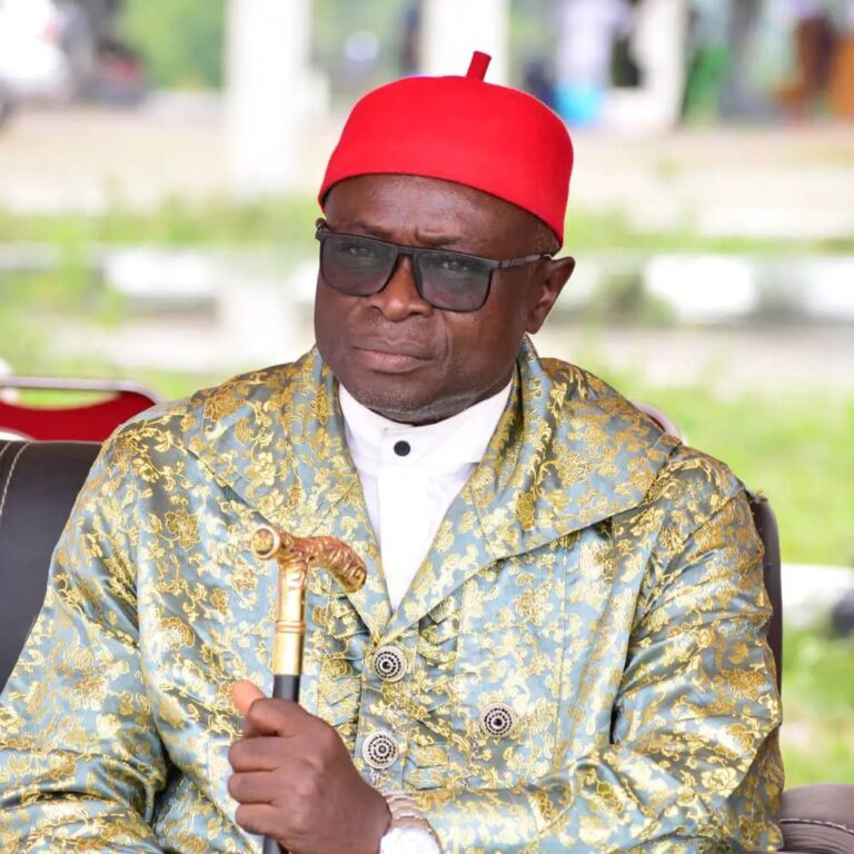 Igbo in North won’t be part of protest – IDA President.