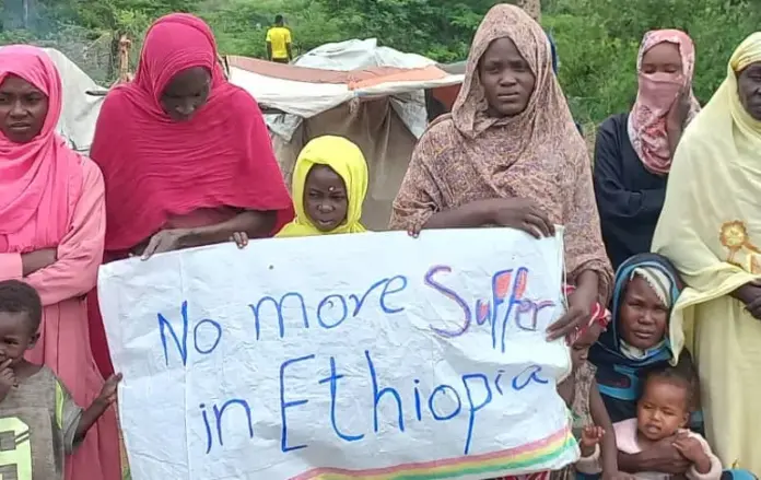 Sudanese refugees hiding in Ethiopian forest to escape bandits and militias