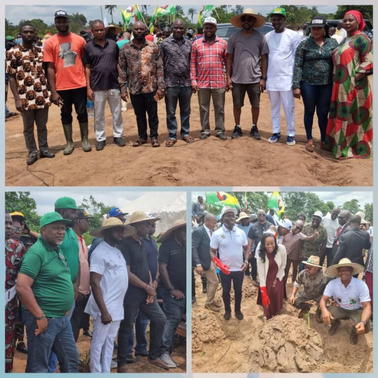 Operation Farm to Feed: Stakeholders Hail Soludo’s Agricultural Initiatives, Say It’s Timely